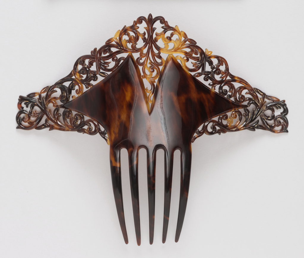 Tortoiseshell Image